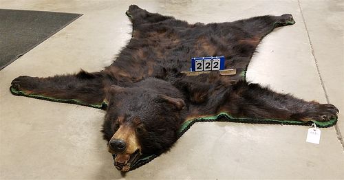 BLACK BEAR RUG 6' X 5' CORDTS MANSION