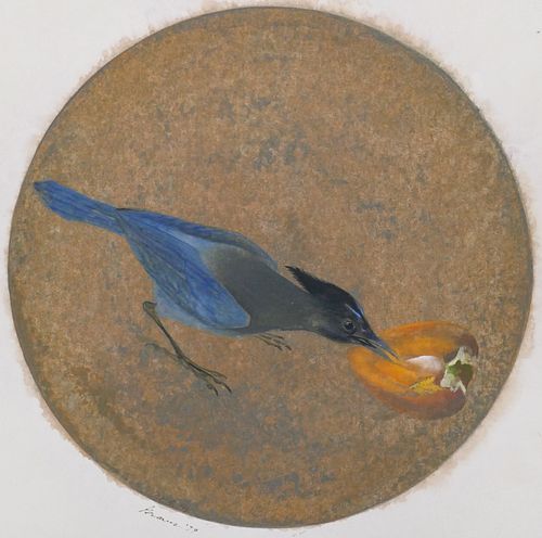 Morris Graves ''Young Blue Jay with Persimmon'' 1979