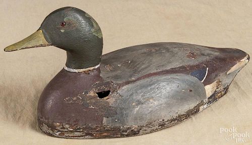Canadian carved and painted mallard duck decoy, early 20th c., attributed to the Reeves family