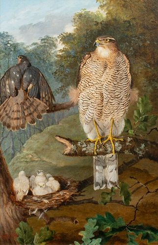 HAWKS AT THEIR NEST OIL PAINTING