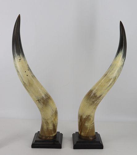 A Decorative Pair Of Mounted Cow Steer Horns.