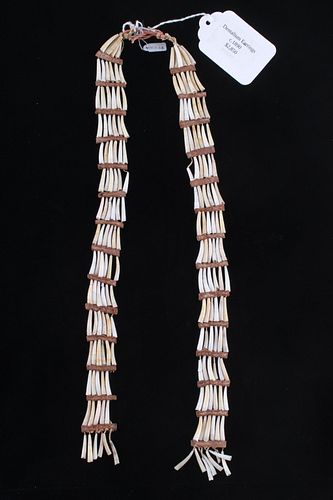C. 1890 Northern Plains Dentalium Shell Earrings