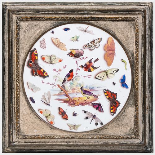 Derby Porcelain Circular Plaque with Birds and Insects