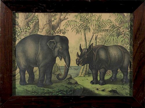 English School: An Elephant and a Rhinoceros
