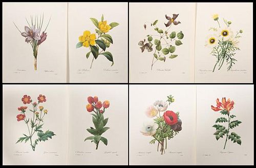 Pierre-Joseph Redoute (1759-1840), "Colored Floral
