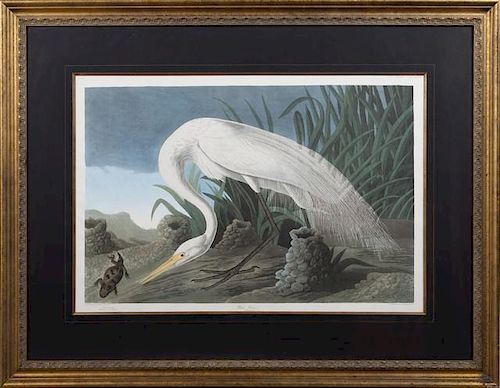 John James Audubon (1785-1851), "White Heron," No.