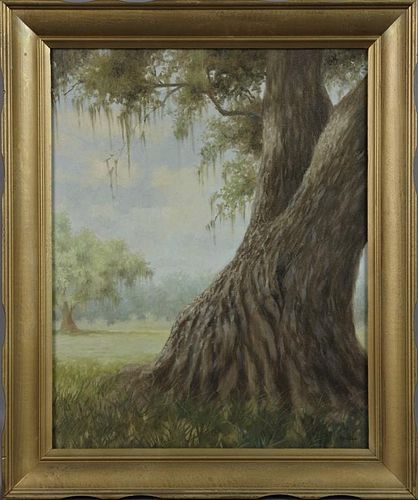 Don Reggio (Louisiana), "Moss Draped Oak Tree," 19