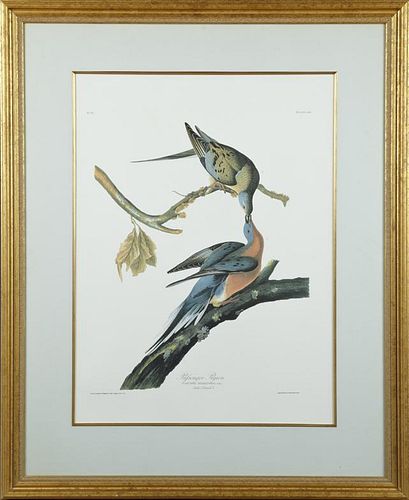 John James Audubon (1785-1851), "Passenger Pigeon,