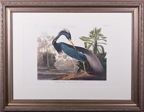 John James Audubon (1785-1851), "Louisiana Heron,"