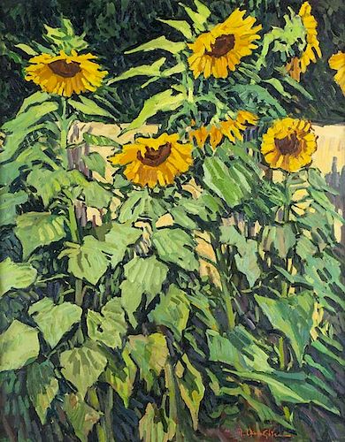 Robert Daughters | Giant Sunflowers