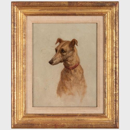 Attributed to William Parsons Winchester Dana (1833-1927): Portrait of a Greyhound