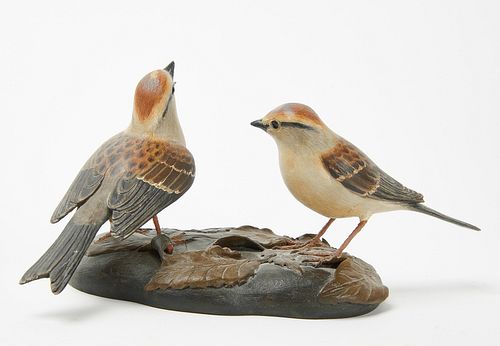 Frank Finney - Chipping Sparrows
