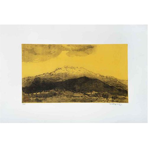 LUIS NISHIZAWA, Sin título, Firmado y fechado 92, Grabado al aguatinta 5/75,  55 x 80 cm
