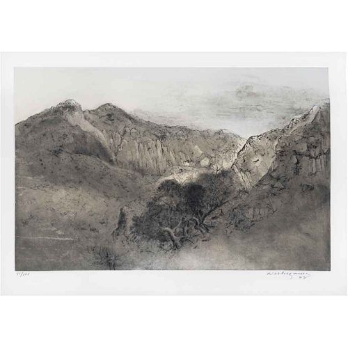 LUIS NISHIZAWA, Sin título, Firmado y fechado 98, Grabado 41/100, 44 x 62 cm