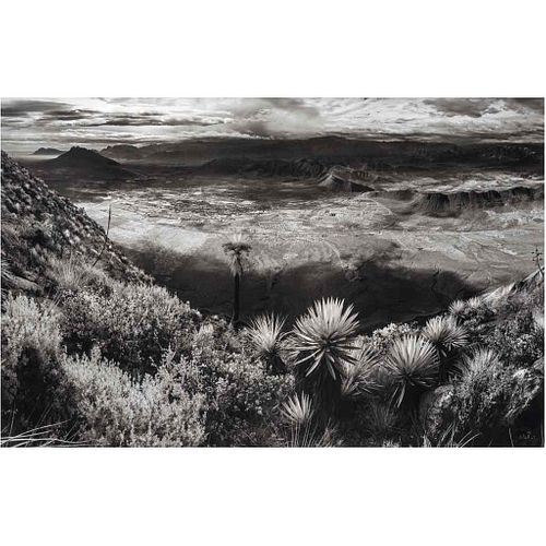 ROBERTO ORTIZ GIACOMAN, Palma del Fraile, de la serie Visión de la montaña, 2022, Firmada, Impresión digital P/I, 94 x 145 cm