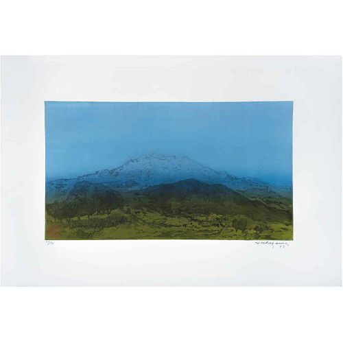 LUIS NISHIZAWA, Sin título, Firmado y fechado 92,Grabado al aguatinta 27/75, 55 x 80 cm