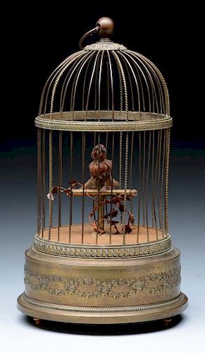 Single Bird in the Cage Automaton.