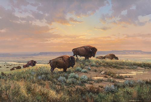 George Kovach (b. 1942) Buffalo Herd