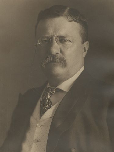 Portrait of Theodore Roosevelt by the Pach Brothers (1904)