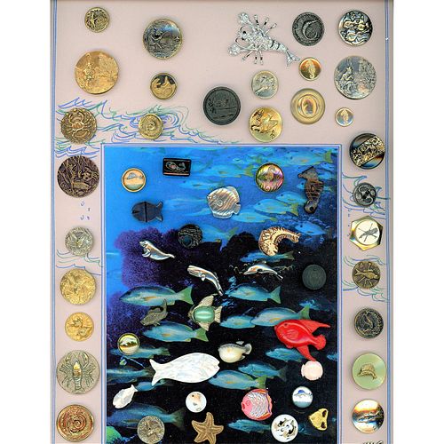 A Card of Division 1 & 3 Assorted Sealife Buttons