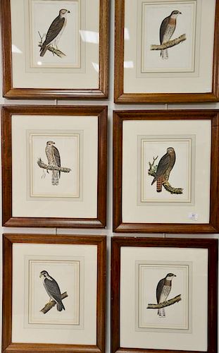 Set of nine U.S.P.R.R. "The United States Pacific Railroad Exp. & Surveys" hand colored bird lithographs. sight size 10" x 7 3/4" ...