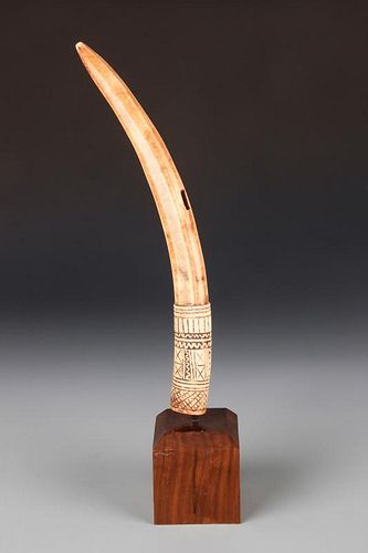 Benin Tusk Oliphant