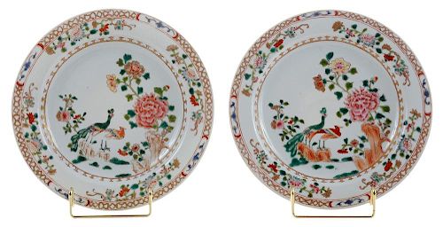 Pair Chinese Famille Rose Porcelain 粉彩孔雀牡丹纹碟一对，直径8英寸，18世纪，中国