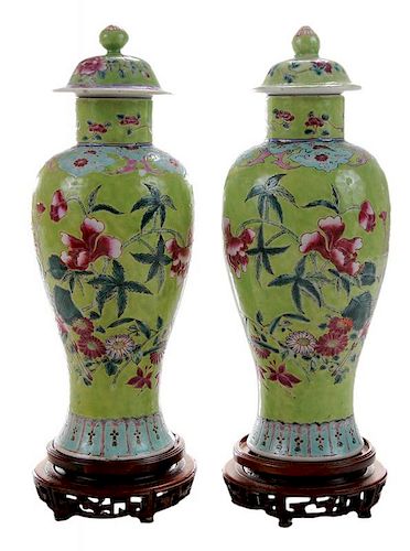 Pair Famille Rose Porcelain Covered 粉彩缠枝花纹柳叶盖罐一对带硬木底座，13.5英寸，20世纪早期，中国