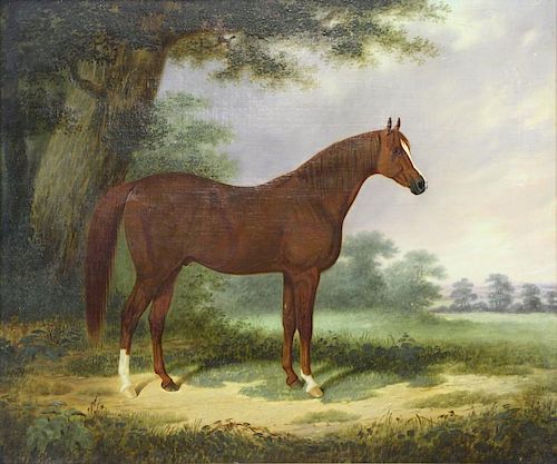 19th C. Oil on Canvas. Portrait of an Arabian