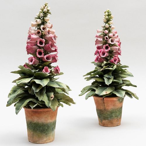 Pair of Clare Potter Porcelain Models of Potted Foxgloves