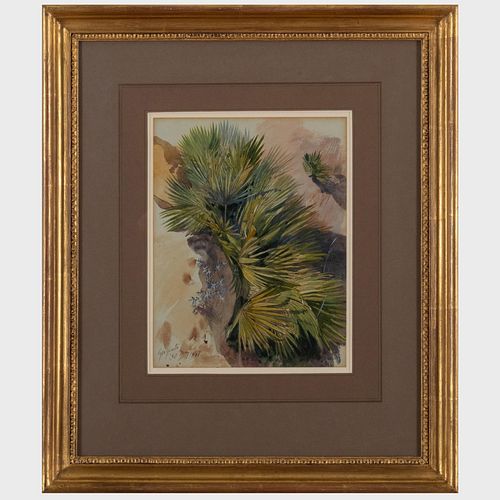 Edward Lear (1812-1888) : A Palm, Agrigento, Sicily