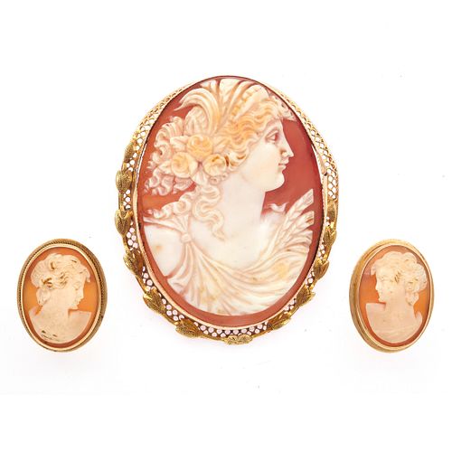 Shell Cameo, 14k Pin with Pair of Ear Clips