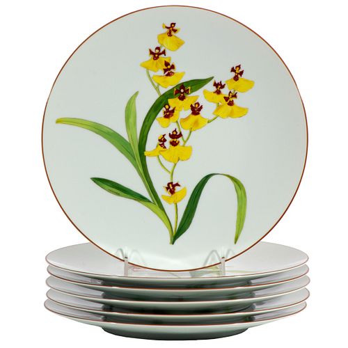 Hermes Porcelain Jardin des Orchidées