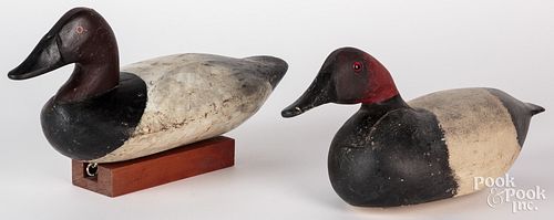 Two carved and painted canvasback duck decoys, ear