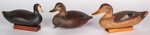 Three carved and painted duck decoys, early to mid