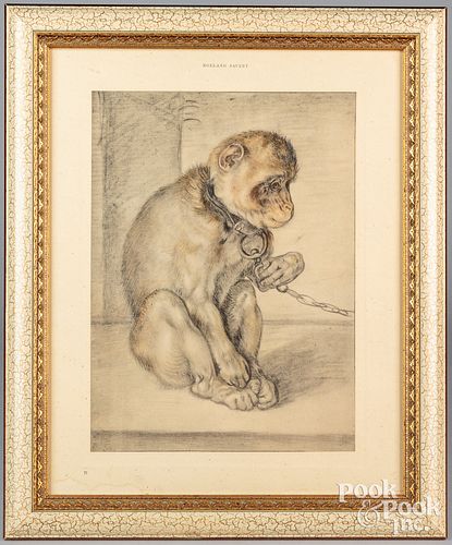 Engraving of a monkey, plate 71