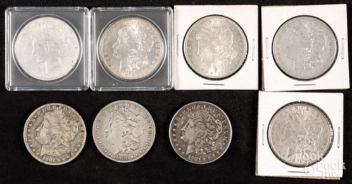 Eight silver dollars