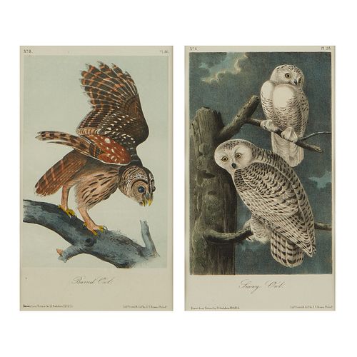 2 Audubon Owl Prints J.T. Bowen