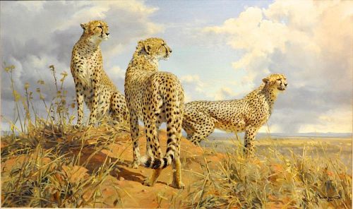 Donald Grant wildlife oil Painting Cheetah Trio