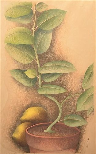 Luigi Rist "Ida's Lemon Tree" Woodcut on Paper.