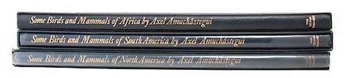 * Three Reference Books regarding Axel Amuchastegui