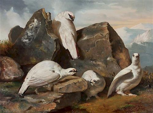 * John Christopher Bell, (British, fl. 1847-1892), Two works: Ptarmigans, 1860
