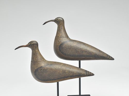 Pair of curlew, Charles F. Coffin, Nantucket, Massachusets, 3rd quarter 19th century.