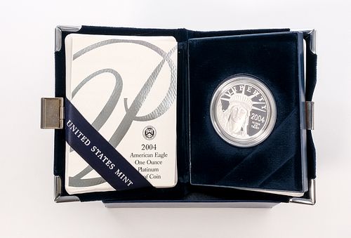 2004-W American Eagle Platinum 1 oz Proof Coin
