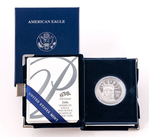 2006-W American Eagle Platinum 1 oz Proof Coin