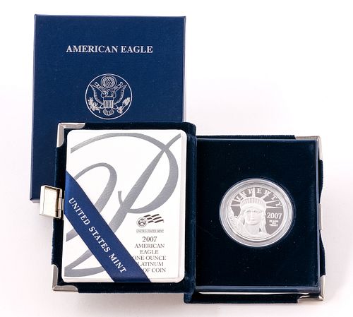 2007-W American Eagle Platinum 1 oz Proof Coin