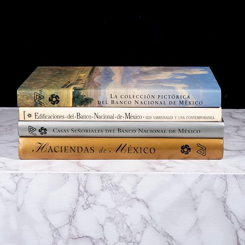 Libros de Fomento Cultural Banamex. La Colección Pictórica del Banco Nacional de México / Haciendas de México. Piezas: 4.