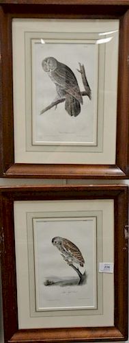 Set of six Audubon prints, Drawn from nature by J.J. Audubon, printed by J.T. Bowen, Philadelphia, hand colored lithographs, Great C...