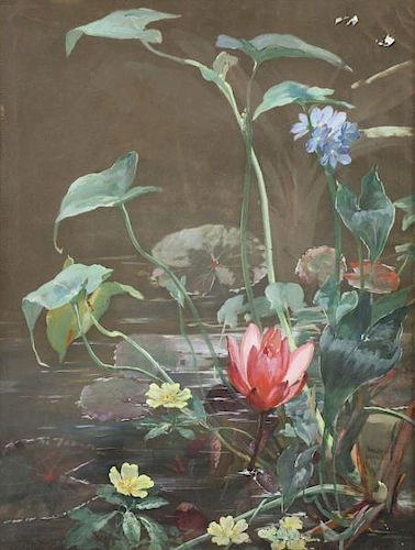 MUSSILL, William. Gouache on Paper. Lily Pond.