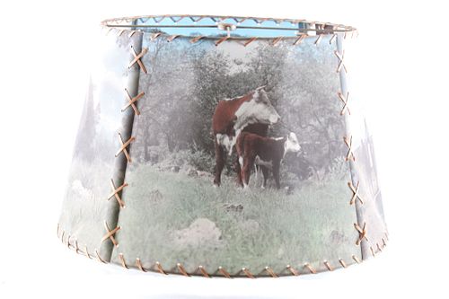 Montana Pop Photographic Western Theme Lamp Shade